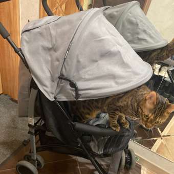 Коляска прогулочная Babyton Ellipse Grey серый: отзыв пользователя ДетМир