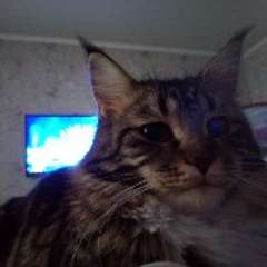 Фото отзыва 10728772