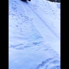 Видео отзыва 10796423