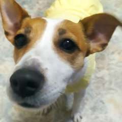 Фото отзыва 11154157