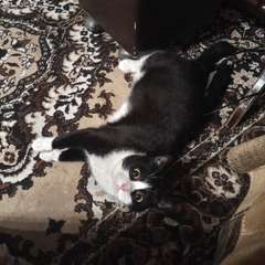 Фото отзыва 10532863