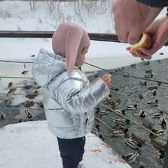 Фото отзыва 11094100