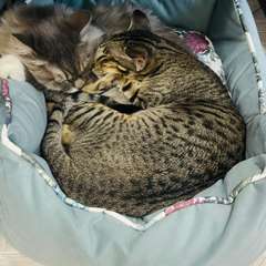 Фото отзыва 11042915