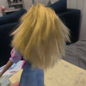 Кукла модельная Barbie Малибу Стилист: отзыв пользователя Детский Мир