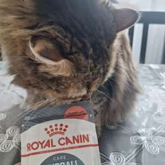 Фото отзыва 10946126