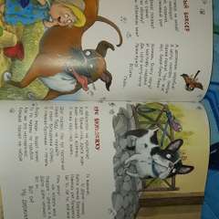 Фото отзыва 10757033