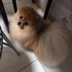 Фото отзыва 10958024