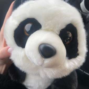 Мягкая игрушка Aurora панда: отзыв пользователя Детский Мир