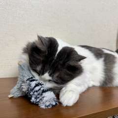 Фото отзыва 8680772