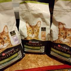 Фото отзыва 10748173