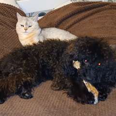 Фото отзыва 10801074