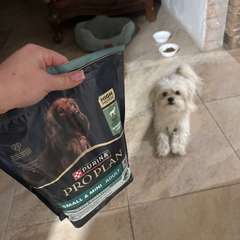 Фото отзыва 11026180