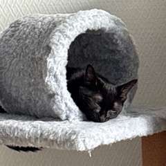 Фото отзыва 10029217