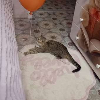 Коврик комнатный FUTURINO Home Hello lovely: отзыв пользователя ДетМир