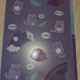 Папка-конверт Erhaft Котик А4: отзыв пользователя ДетМир