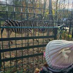 Фото отзыва 10617686