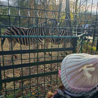 Шапка Futurino: отзыв пользователя Детский Мир