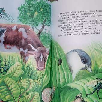 Книга МАХАОН Как муравьишка домой спешил Бианки В. В.: отзыв пользователя Детский Мир