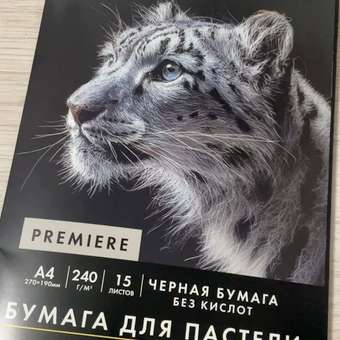 Художественная бумага Brauberg 15 лист.: отзыв пользователя Детский Мир