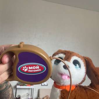 Мягкая игрушка Мой питомец собачка Джим: отзыв пользователя ДетМир