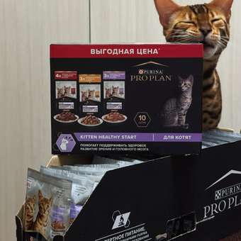 Корм для котят Pro Plan 85г говядина индейка курица 10шт: отзыв пользователя. Зоомагазин Зоозавр