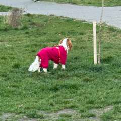 Фото отзыва 10744751