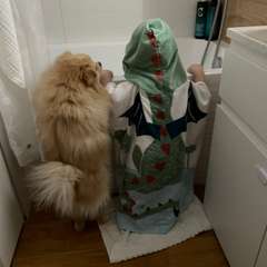 Фото отзыва 11047934