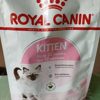Корм сухой для котят ROYAL CANIN Kitten 2кг: отзыв пользователя. Зоомагазин Зоозавр