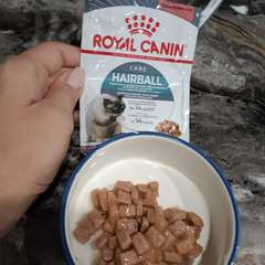 Фото отзыва 10801535