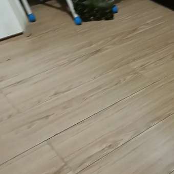 Динозавр РУ Tim Tin: отзыв пользователя Детский Мир