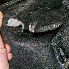 Фото отзыва 10685855