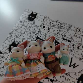 Игровой набор Sylvanian Families Семья Латте котов: отзыв пользователя ДетМир