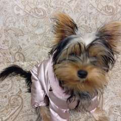 Фото отзыва 10885033