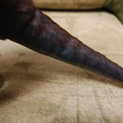 Фото отзыва 10661937