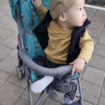 Коляска прогулочная Babyton Zoo New голубой: отзыв пользователя Детский Мир