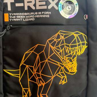 Рюкзак Grizzly Для мальчика: отзыв пользователя Детский Мир