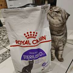 Фото отзыва 10445475