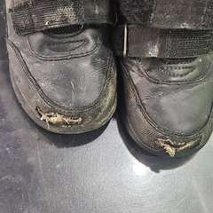 Фото отзыва 10524505