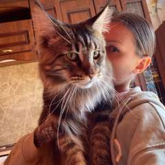 Фото отзыва 10489775