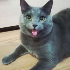 Фото отзыва 11026745