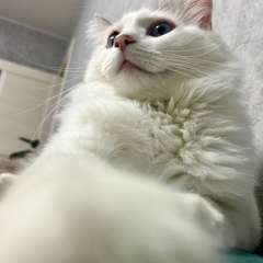 Фото отзыва 10754817