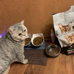 Фото отзыва 10932685