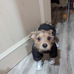 Фото отзыва 10649828