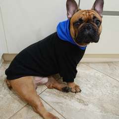 Фото отзыва 8273603