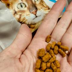 Фото отзыва 10798534