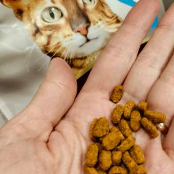 Корм влажный для кошек PRO PLAN RENAL PLUS 85 г с кроликом для стерилизованных: отзыв пользователя. Зоомагазин Зоозавр