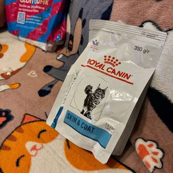 Корм для кошек ROYAL CANIN Skin Coat для поддержания защитных функций кожи 350г: отзыв пользователя. Зоомагазин Зоозавр