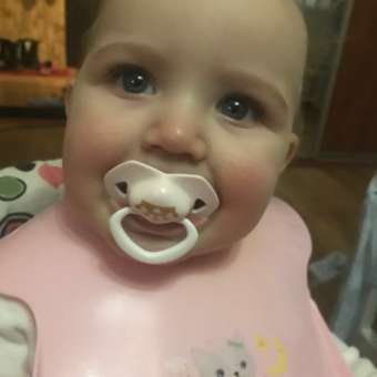 Пустышка Canpol Babies силикон анатомическая от 6 мес. 2 шт.: отзыв пользователя ДетМир