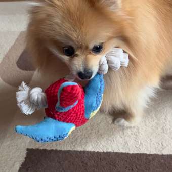 Игрушка для собак Barbaks Ара Роман пищит шуршит с канатиком 30см: отзыв пользователя. Зоомагазин Зоозавр