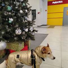 Фото отзыва 10763207